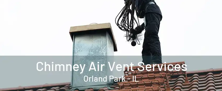 Chimney Air Vent Services Orland Park - IL