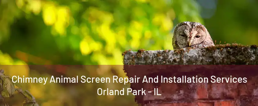 Chimney Animal Screen Repair And Installation Services Orland Park - IL