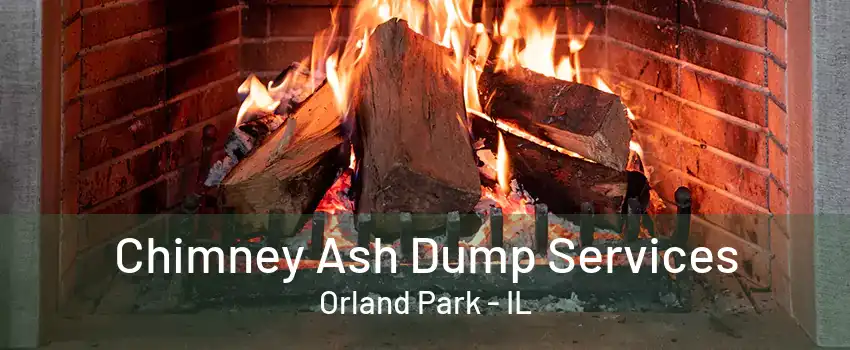 Chimney Ash Dump Services Orland Park - IL