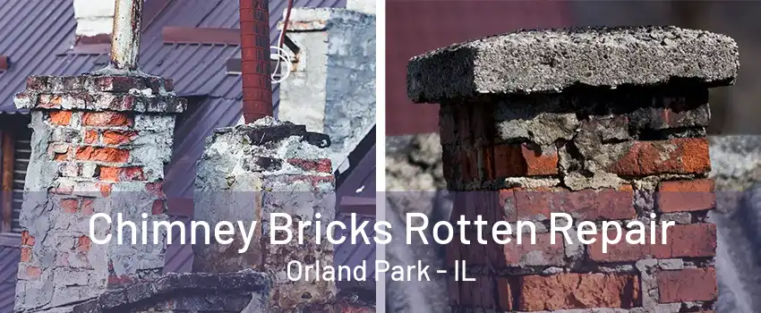 Chimney Bricks Rotten Repair Orland Park - IL