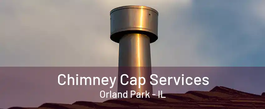 Chimney Cap Services Orland Park - IL