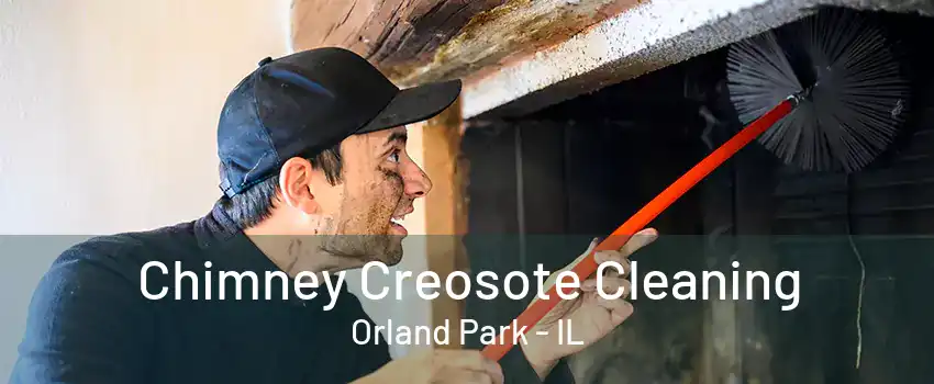 Chimney Creosote Cleaning Orland Park - IL