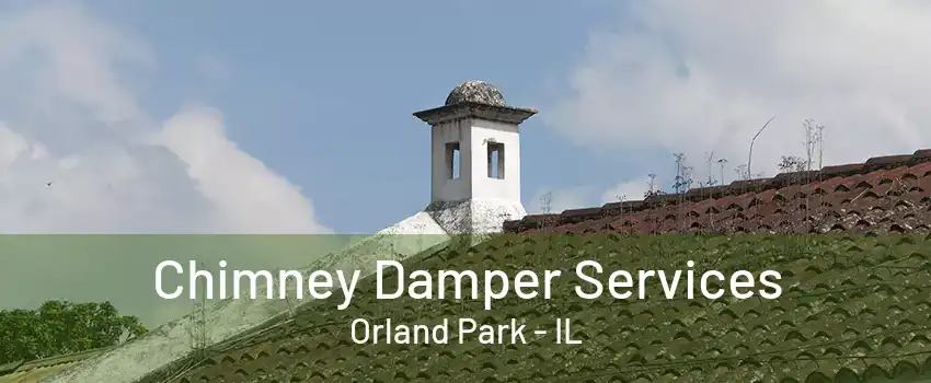 Chimney Damper Services Orland Park - IL