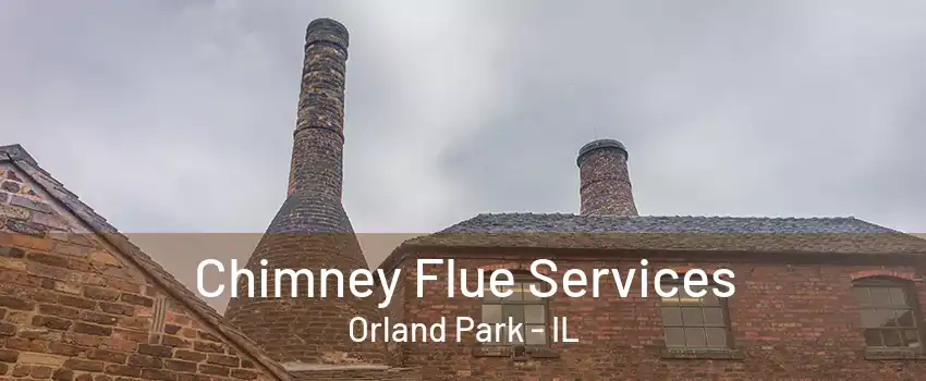 Chimney Flue Services Orland Park - IL