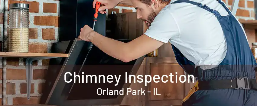 Chimney Inspection Orland Park - IL