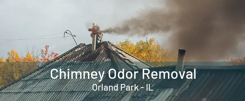 Chimney Odor Removal Orland Park - IL