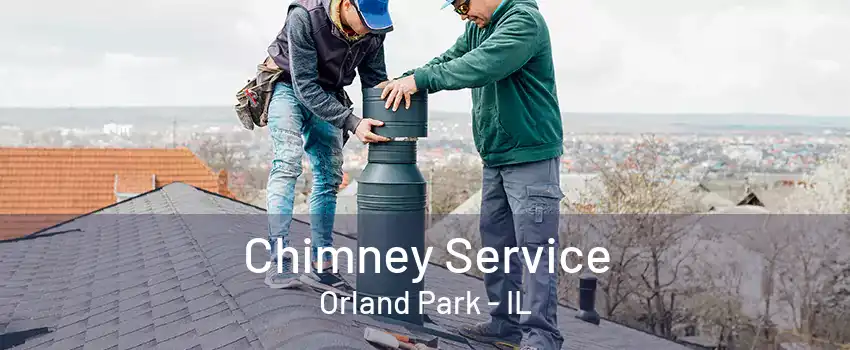 Chimney Service Orland Park - IL