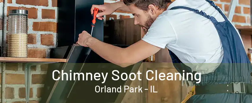 Chimney Soot Cleaning Orland Park - IL