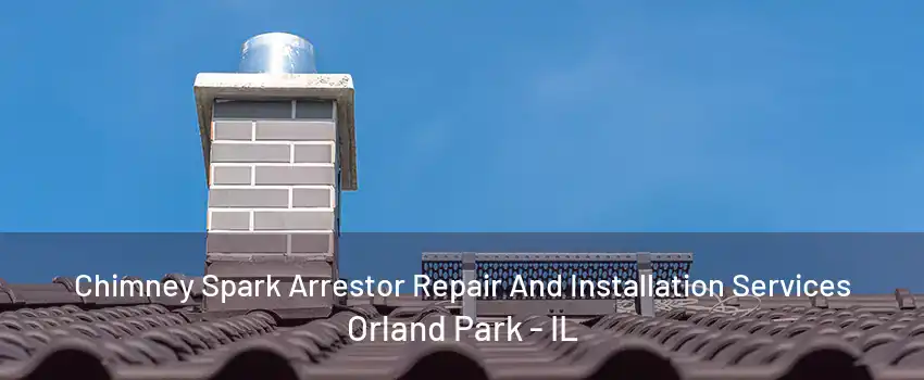 Chimney Spark Arrestor Repair And Installation Services Orland Park - IL