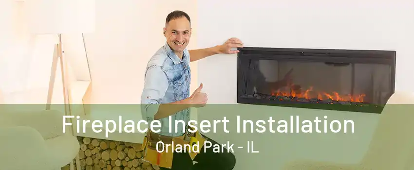 Fireplace Insert Installation Orland Park - IL