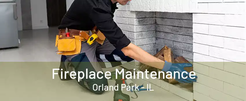 Fireplace Maintenance Orland Park - IL