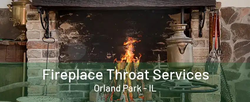 Fireplace Throat Services Orland Park - IL