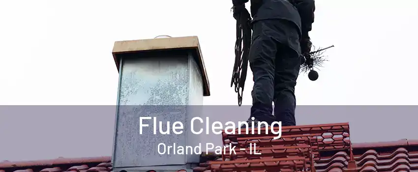 Flue Cleaning Orland Park - IL